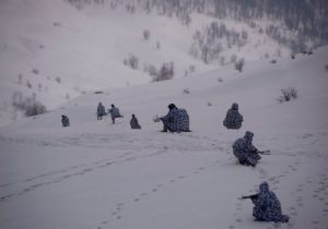 Ağrı'da pkk operasyonu