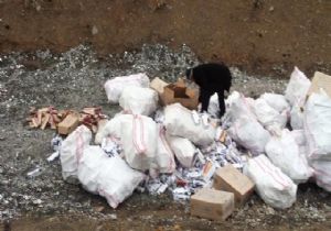 70 bin paket kaçak sigara imha edildi