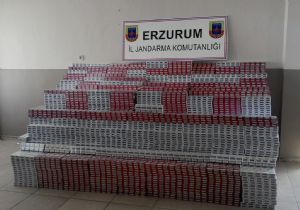 Jandarmadan kaçak sigara operasyonu