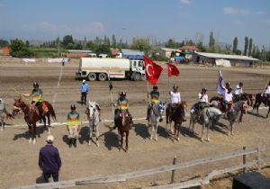 Marmara'da Cirit coşkusu