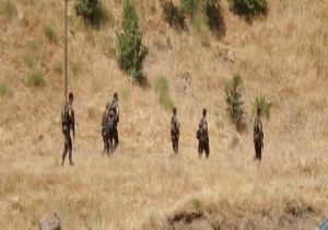 Pkk/kck operasyonunda 4 gözaltı