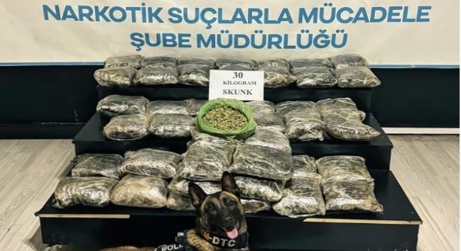 30 kilo Skunk ele geçirildi: 2 şüpheli gözaltında