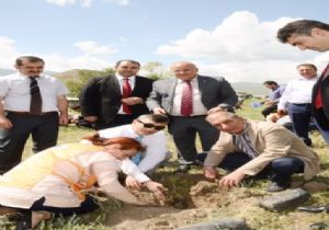 301 şehidin anısı hatıra ormanında yaşatılacak