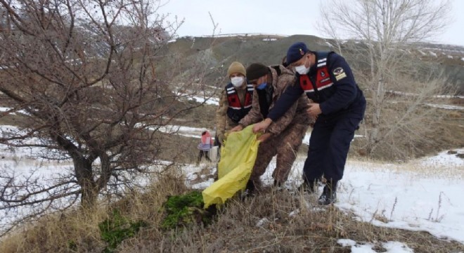 Aşkale'de yaban hayatına destek seferberliği