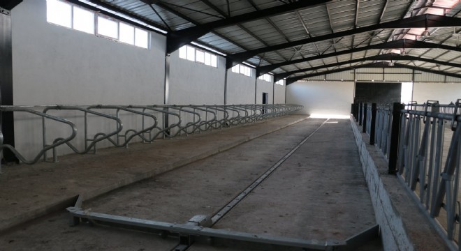 DAP'tan tarımsal açılım