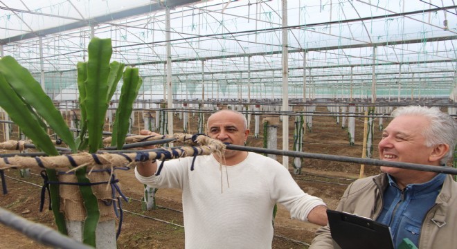 Dadaş girişimci, Antalya'da gündem oluşturdu