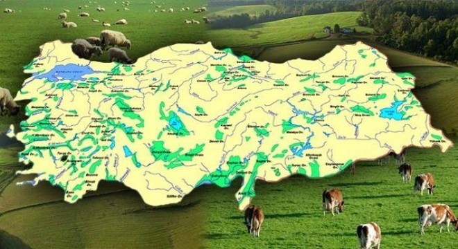 Doğu'da 17, Erzurum'dan 2 ova koruma altında