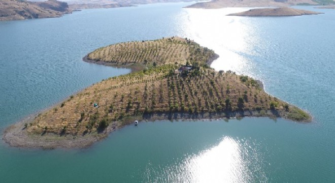 Doğu'da gerçek bir 