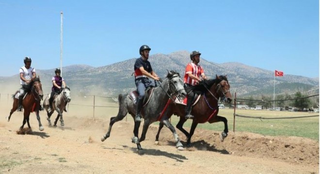Doğu'dan Batı'ya Rahvan At yetiştirme geleneği