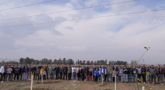 ETÜ'de Milli Ağaçlandırma gündemi