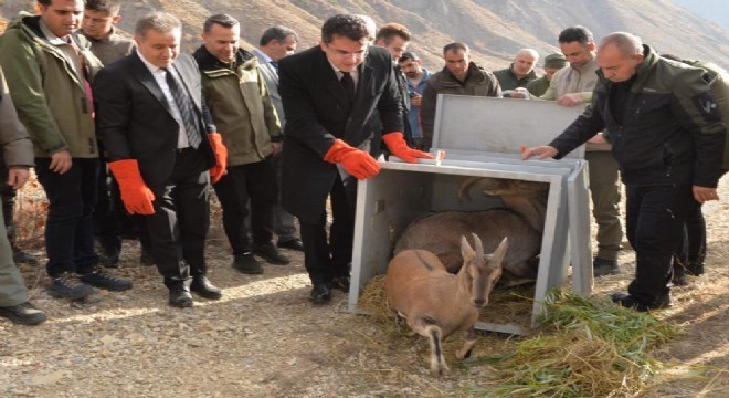 Erzurum DKMP'den doğal yaşama destek