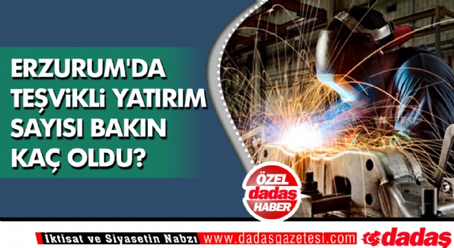 Erzurum'da teşvikli yatırım sayısı bakın kaç oldu?