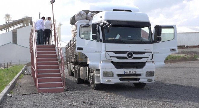 Erzurum kurbanlıklar için adeta bir gümrük kapısı