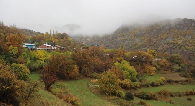 Erzurum'da besiciliğe projeli destek