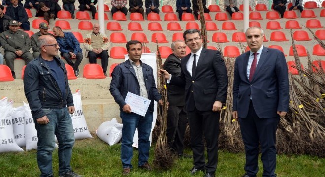 Erzurum'da ceviz yetiştiriciliği yaygınlaştırılıyor