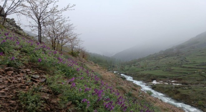 Erzurum'da mayıs ayında kar sürprizi