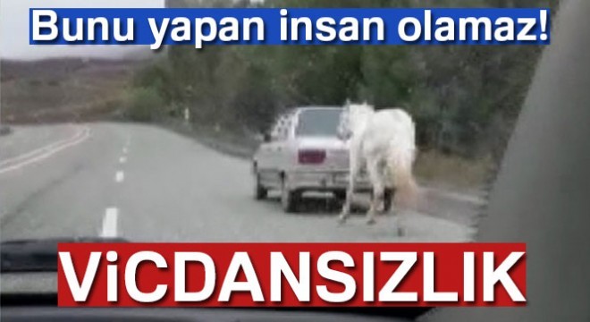 Erzurum'da tepki toplayan görüntü