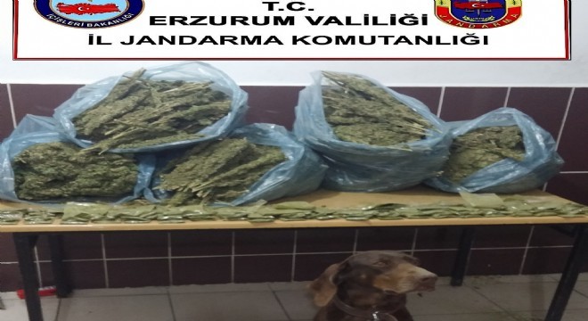 Jandarmadan uyuşturucu operasyonu