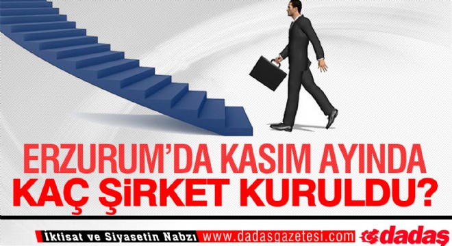 Kasım ayında Erzurum'da kaç şirket kuruldu?