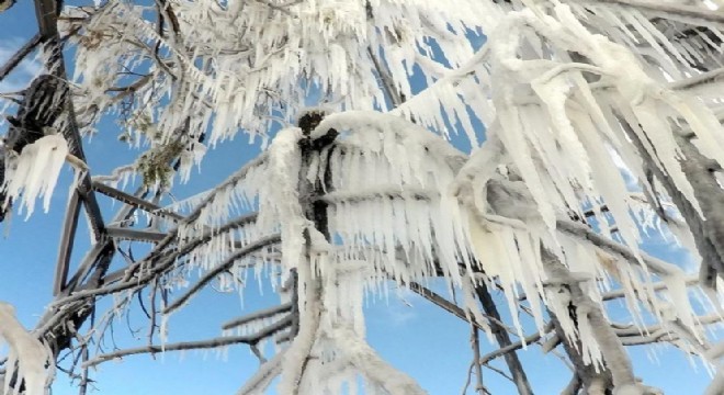 Kavukçu'dan buz gibi sanat