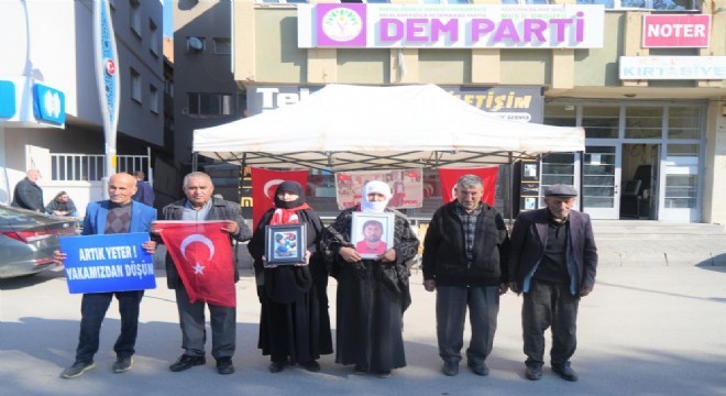 Muşlu Ailelerin nöbeti 171'inci haftaya girdi