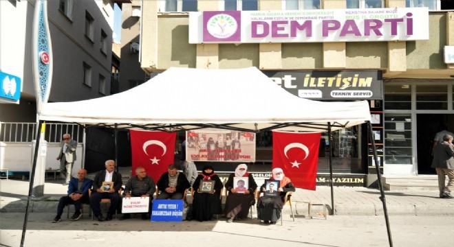Muşlu Anneler 167 haftadır nöbette