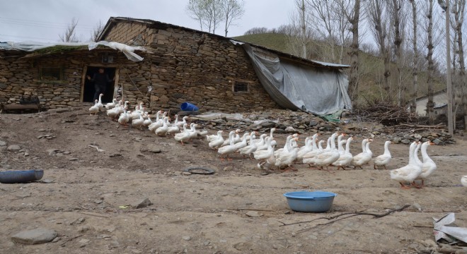 MŞÜ Doğu'da bir ilki başlattı