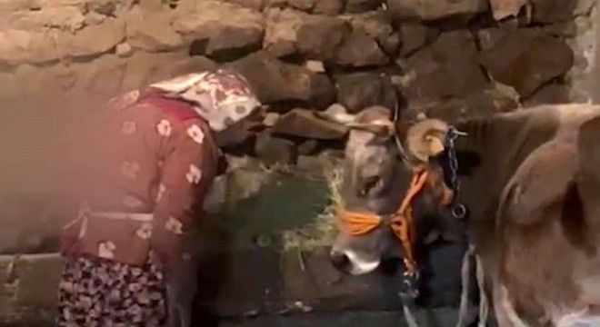 Nazmiye Nine'ye müjdeli haber geldi