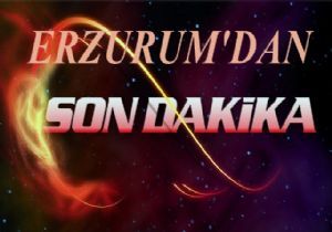 Erzurum'un nüfusu açıklandı
