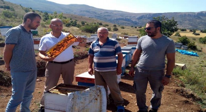 Samsunlu arıcılar Erzurum'u seçti