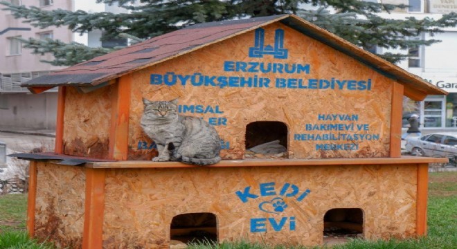 Sekmen: ‘Her can bize emanet'