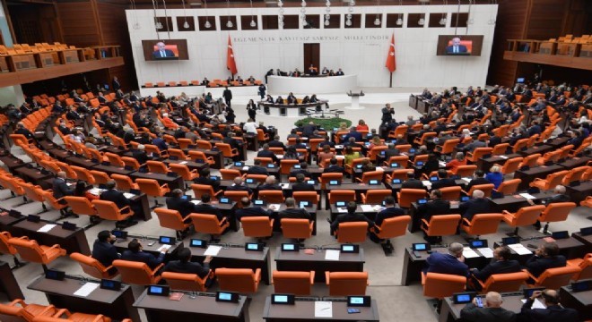TBMM'den tarihi bildiri