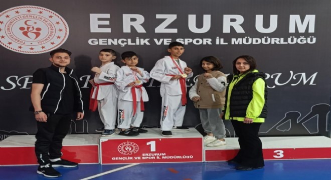 Taekwondo'da Oltu damgası