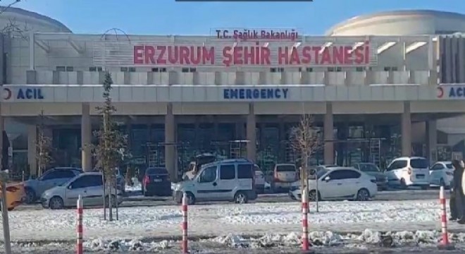 Tüm müdahalelere rağmen kurtarılamadı