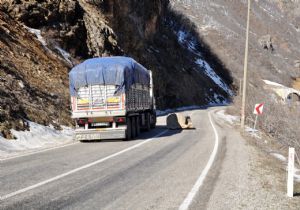 Erzurum'da 122 bin araç denetlendi