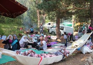Ayvalı'da organik coşku