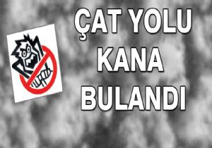 Çat yolunda feci kaza: 1ölü 2 yaralı