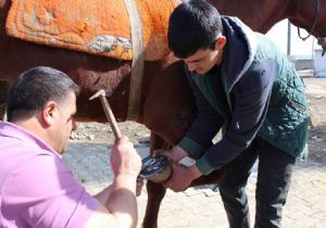 Nalbantlık zenaati son demlerinde