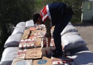 Jandarmadan Erzurum'da dev operasyon