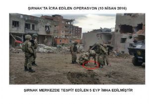 Şırnak'ta terör operasyonları devam ediyor