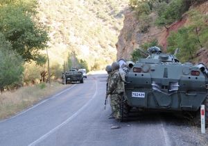 Tunceli'de operasyon; 2 tutuklama