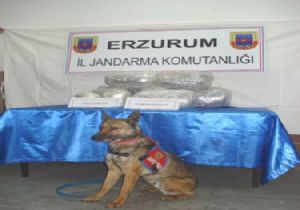 17 yaşındaki gençte 20 kilo esrar