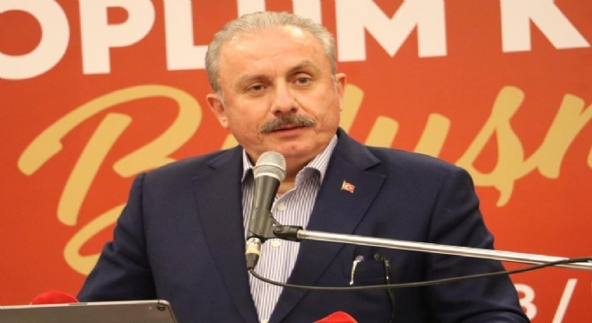 Şentop'tan Prens Harry'ye sert tepki
