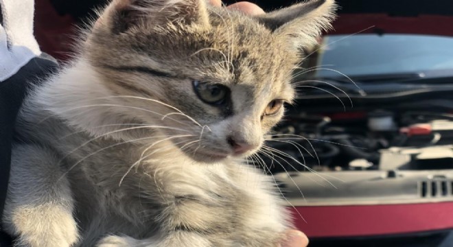 ‘Kontağı çevirmeden kaputa vurun'