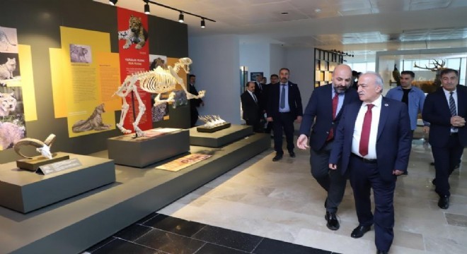 ‘Türkiye'de alanında bir ilk'