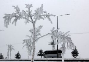 Erzurum'da kırağı tablosu