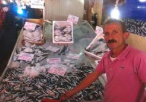 Balık Sevenler Yaşadı