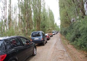 Oltu'da sağanak yağış taşkına yol açtı