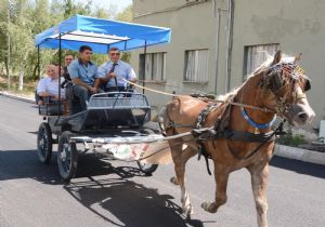 Dumlu'da Fayton Kültürü'ne destek