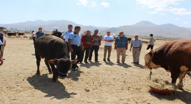 Aziziye'de Kurban Bayramı hazırlığı